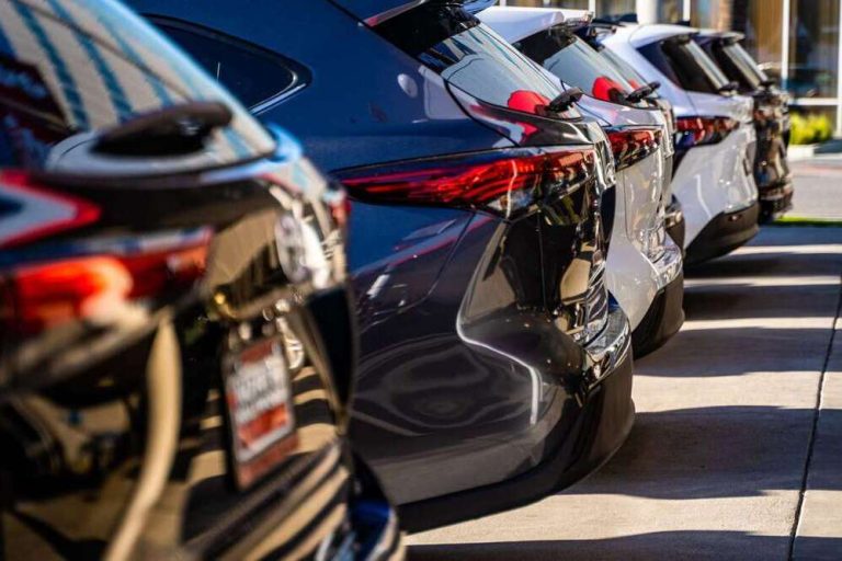 Rear view of several parked cars lined up at a dealership lot